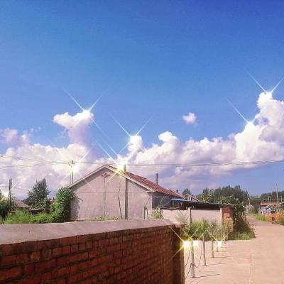 繁花落处歌尽时游戏下载
